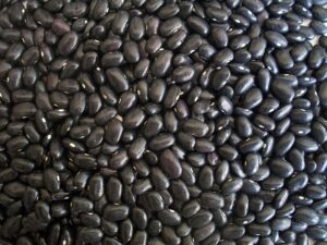 Bean - Source of Magnesium